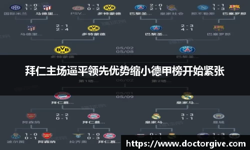 智博19