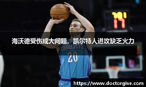 智博19有限公司